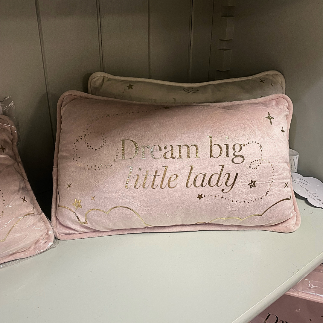 Dream Big - Rectangle Velvet Cushion