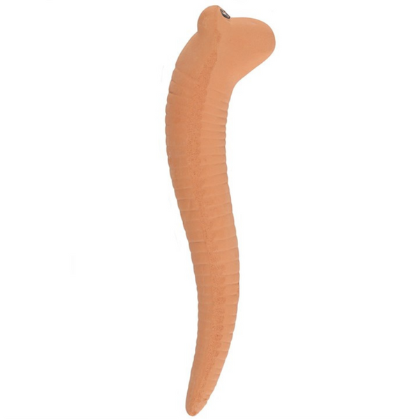 WILLY THE TERRACOTTA WORM